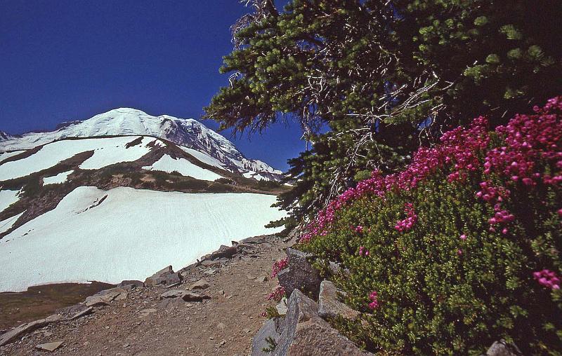 1999-08 Jon and Bobbi Mt Rainier NP 05.jpg